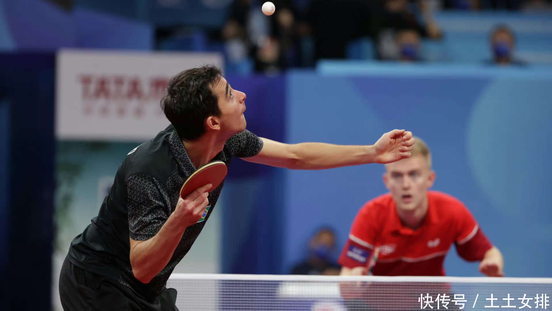 这种智慧是 这种智慧是